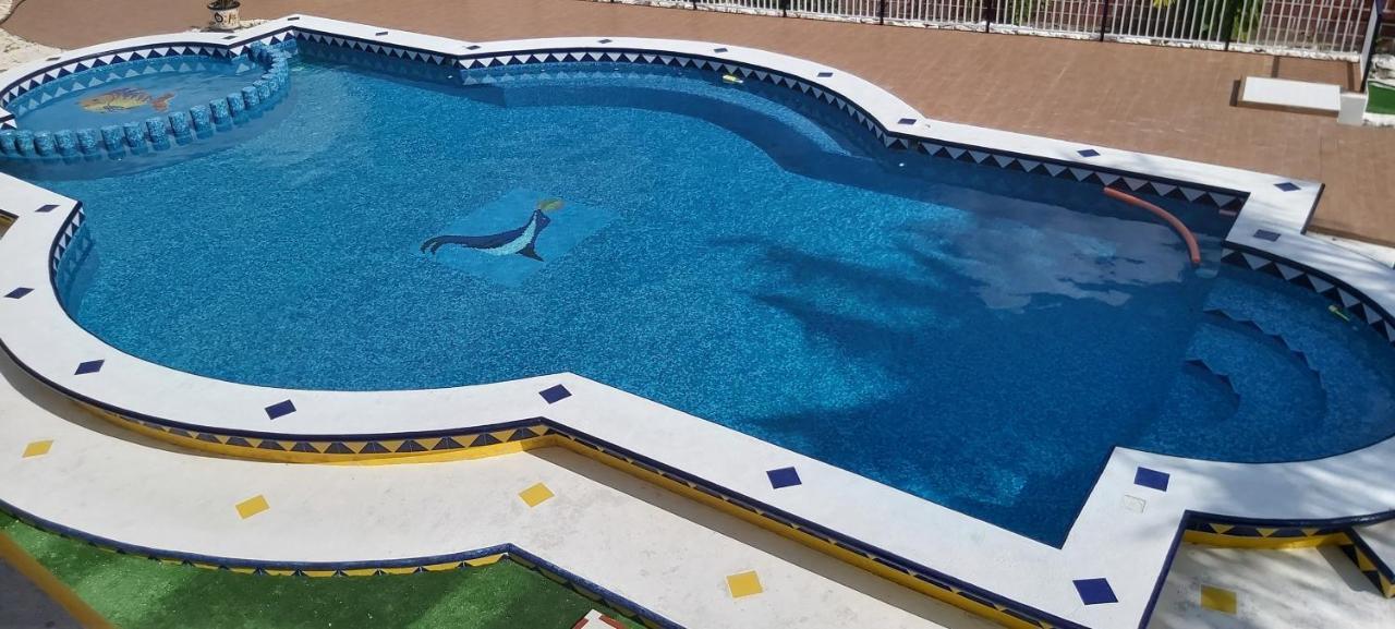 NEW! CASA XOLA Cenote&Fauna Loft Cozumel Exterior foto