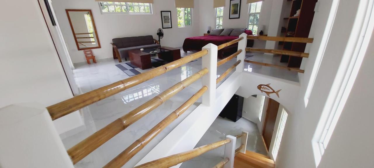 NEW! CASA XOLA Cenote&Fauna Loft Cozumel Exterior foto