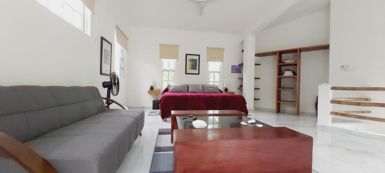 NEW! CASA XOLA Cenote&Fauna Loft Cozumel Exterior foto