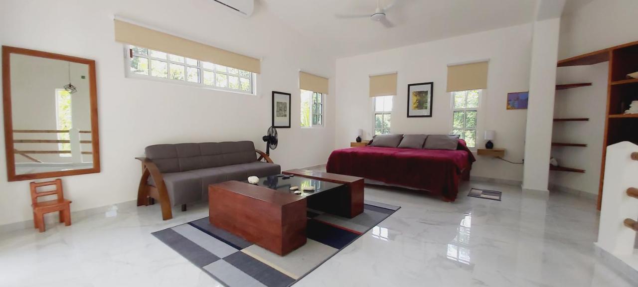 NEW! CASA XOLA Cenote&Fauna Loft Cozumel Exterior foto